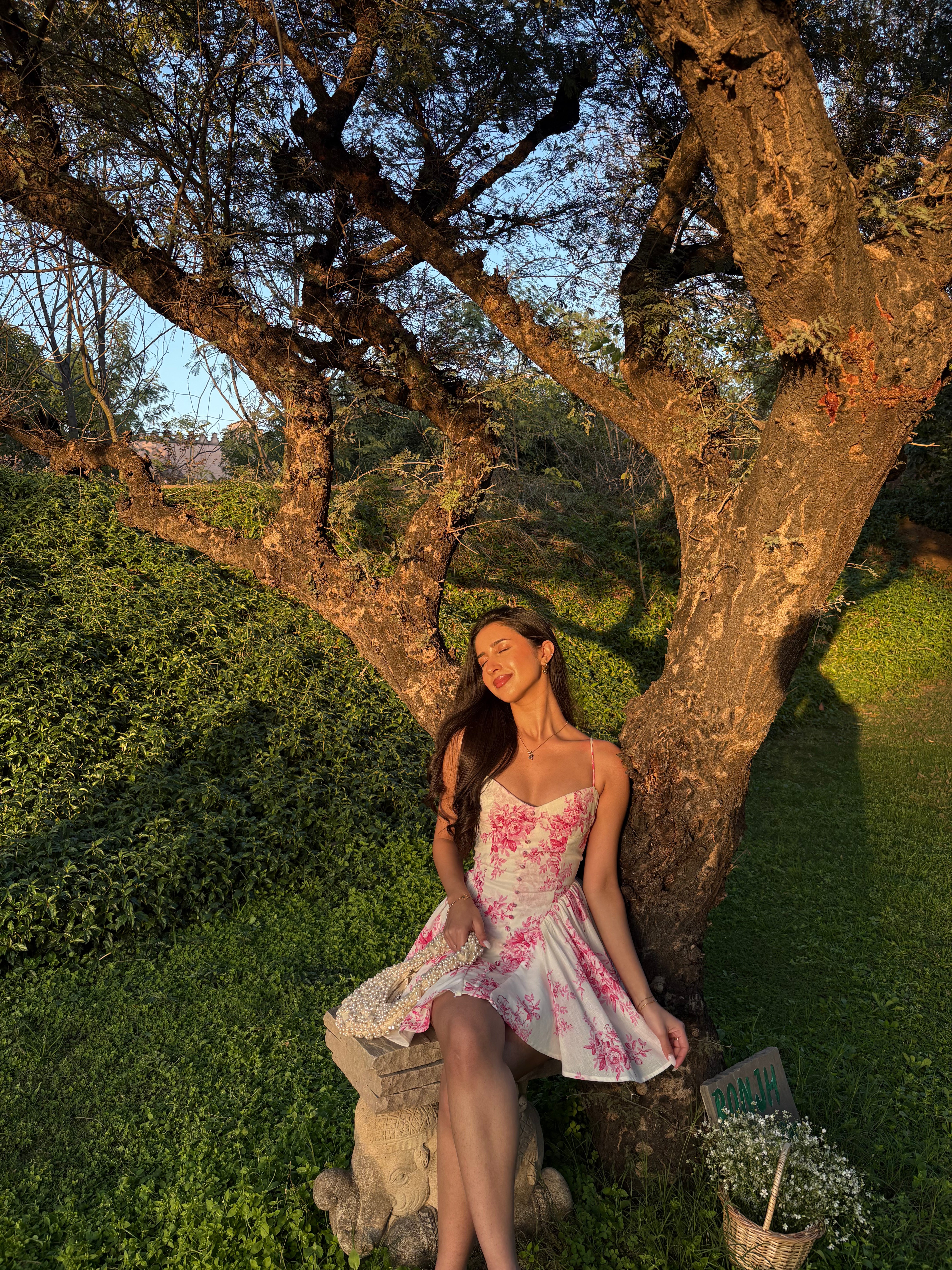 Rosalie Corset Princess Dress