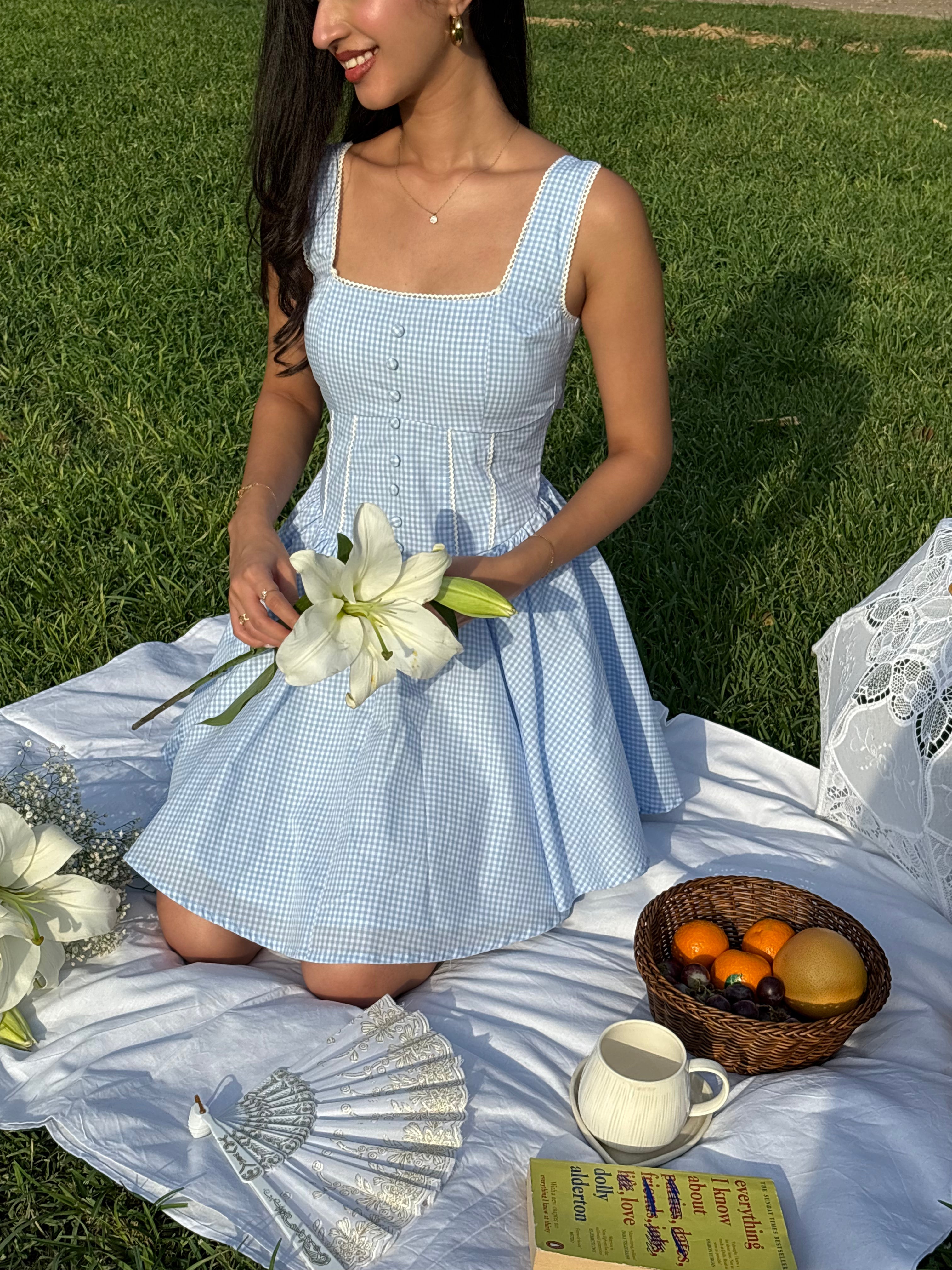 Aurora Princess Dress in Blue Gingham