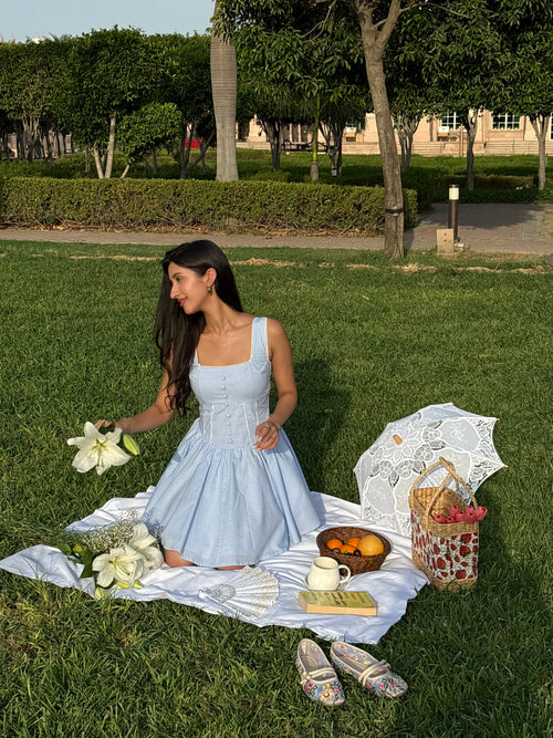 Aurora Princess Dress in Blue Gingham