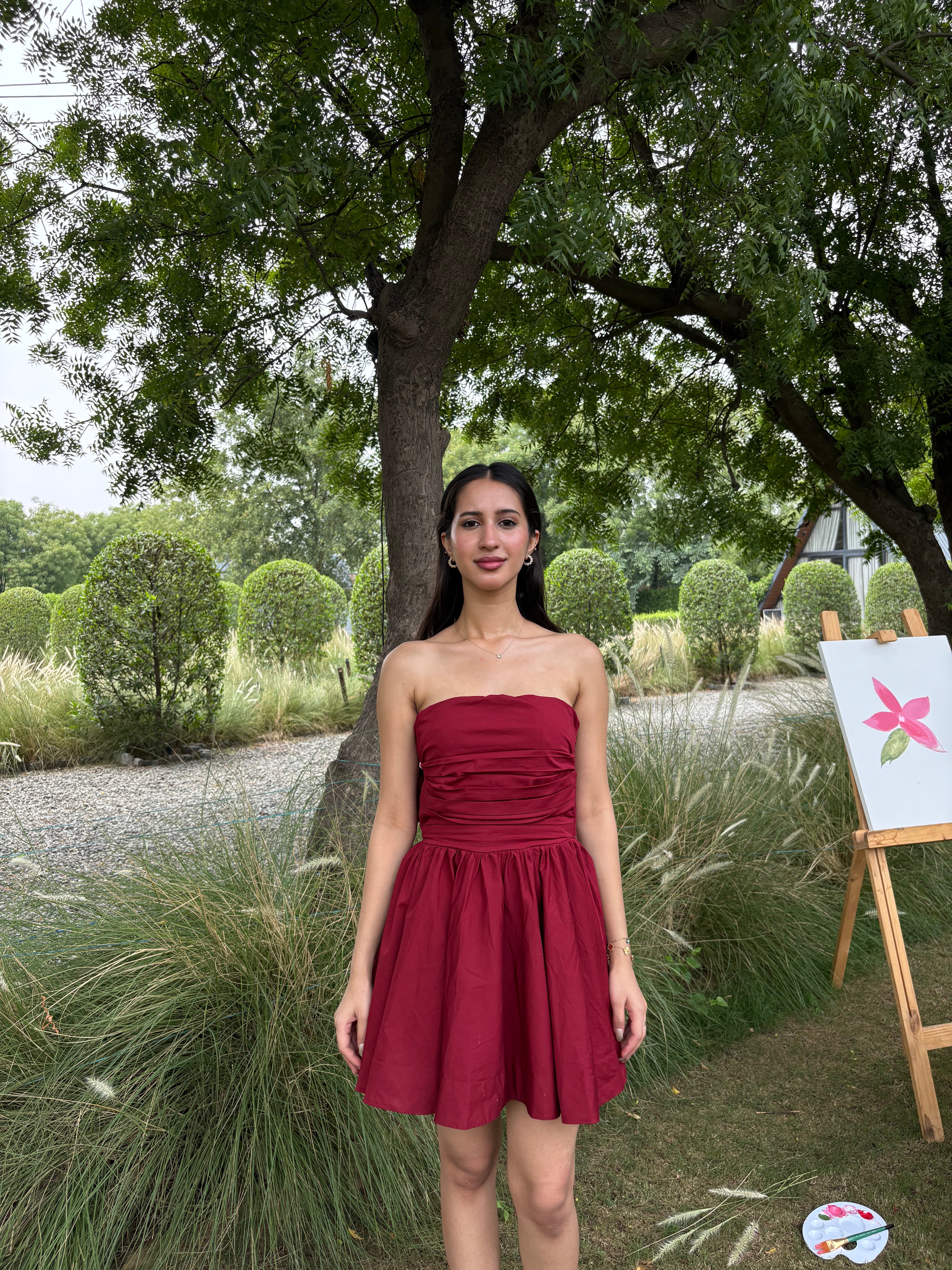 Scarlet Bow Tube Dress (XS-L)
