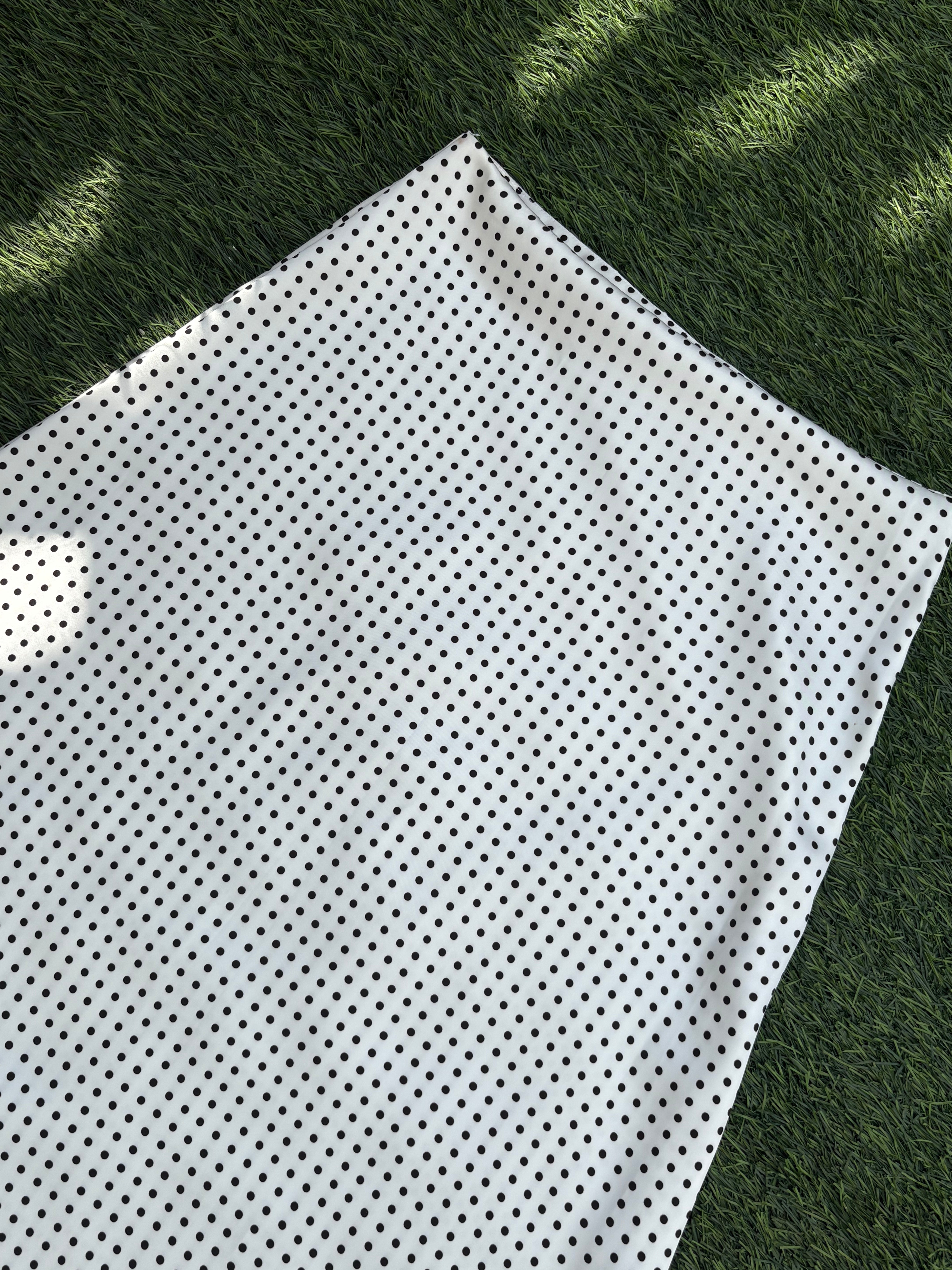 Celine Polka Dot Satin Skirt in White