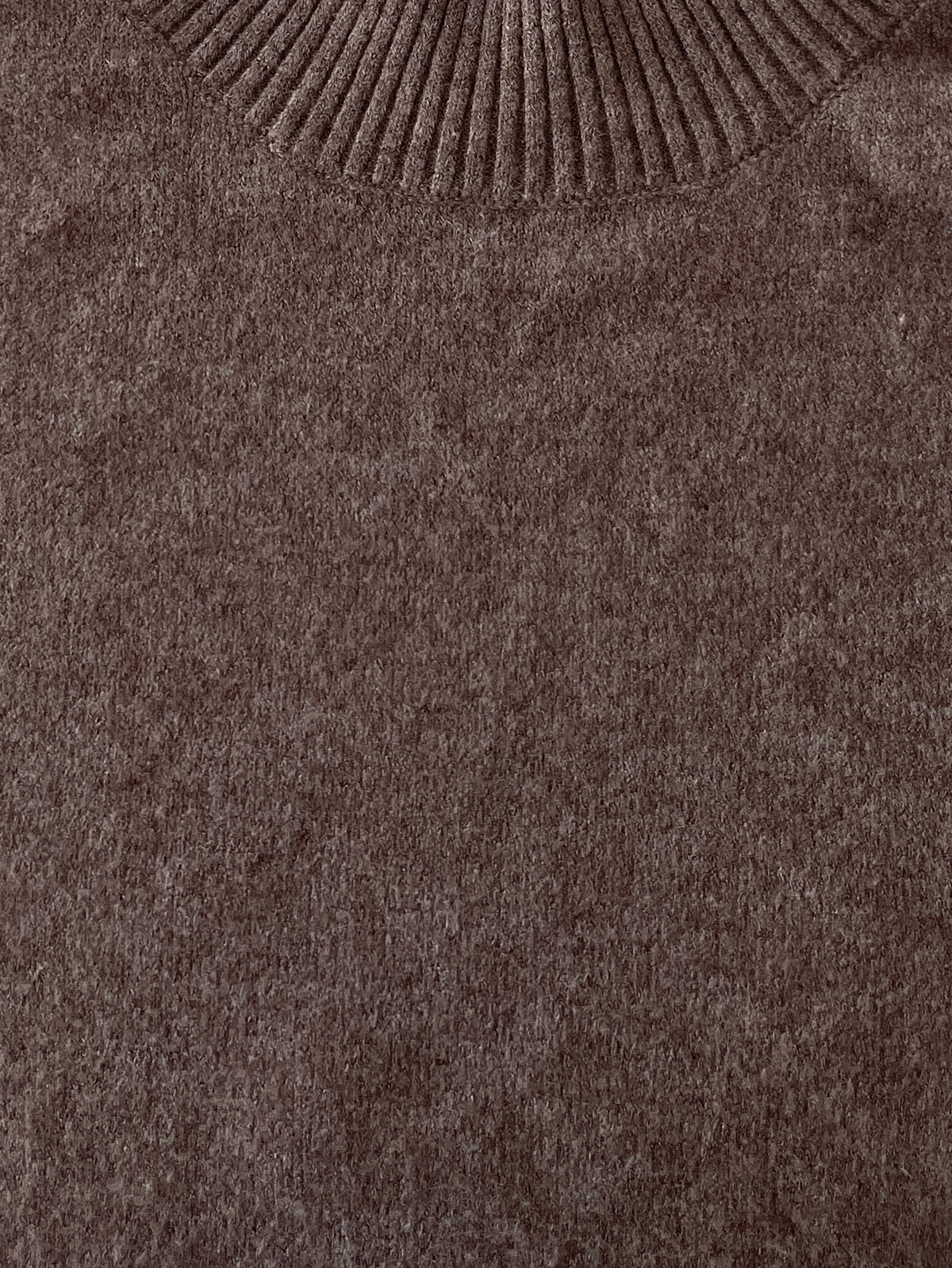 Softest Oversized Pullover in Light Brown