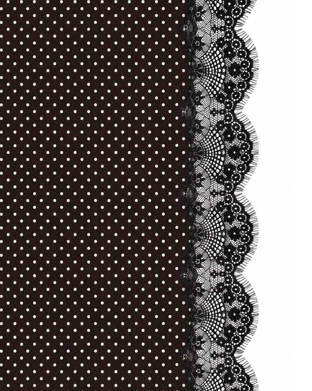 Celine Lace Satin Scarf in Black Polka Dot